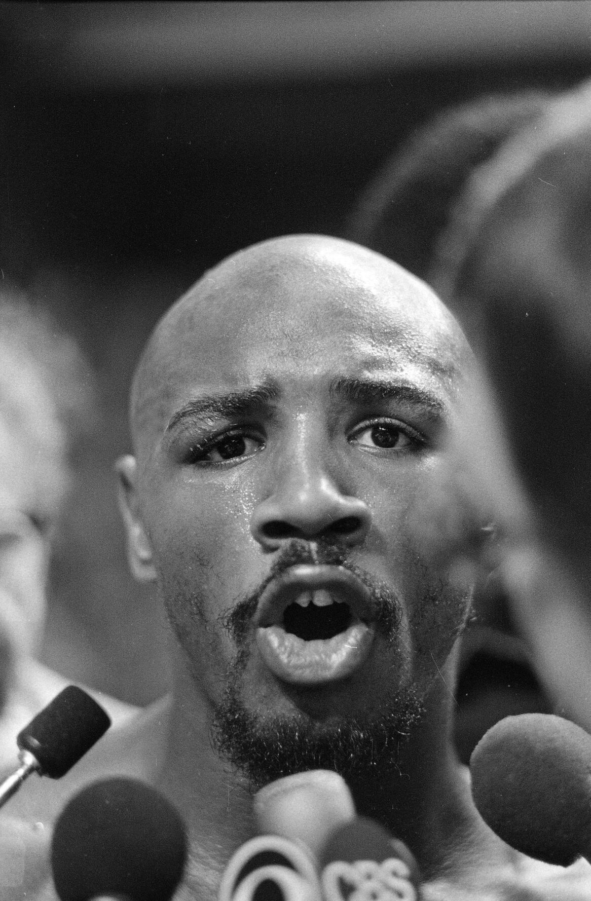 Hagler Seales Boxing